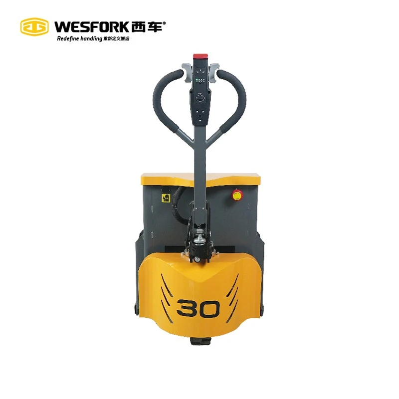 PT30YLi-04